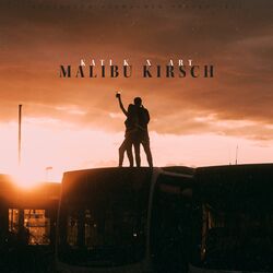 Cover of Malibu Kirsch