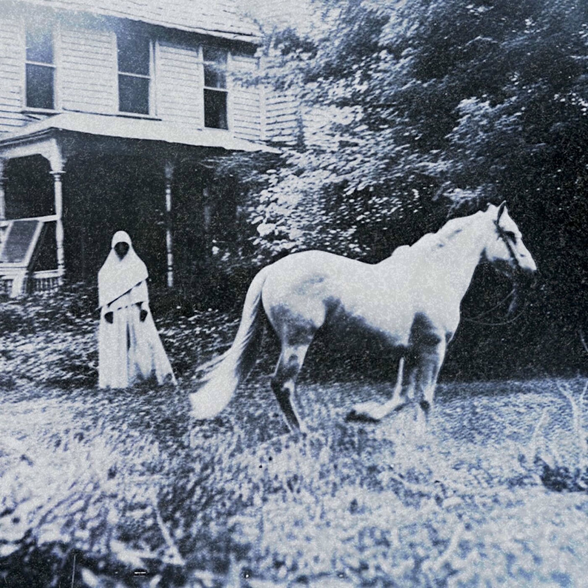 Album cover of SADDLE UP