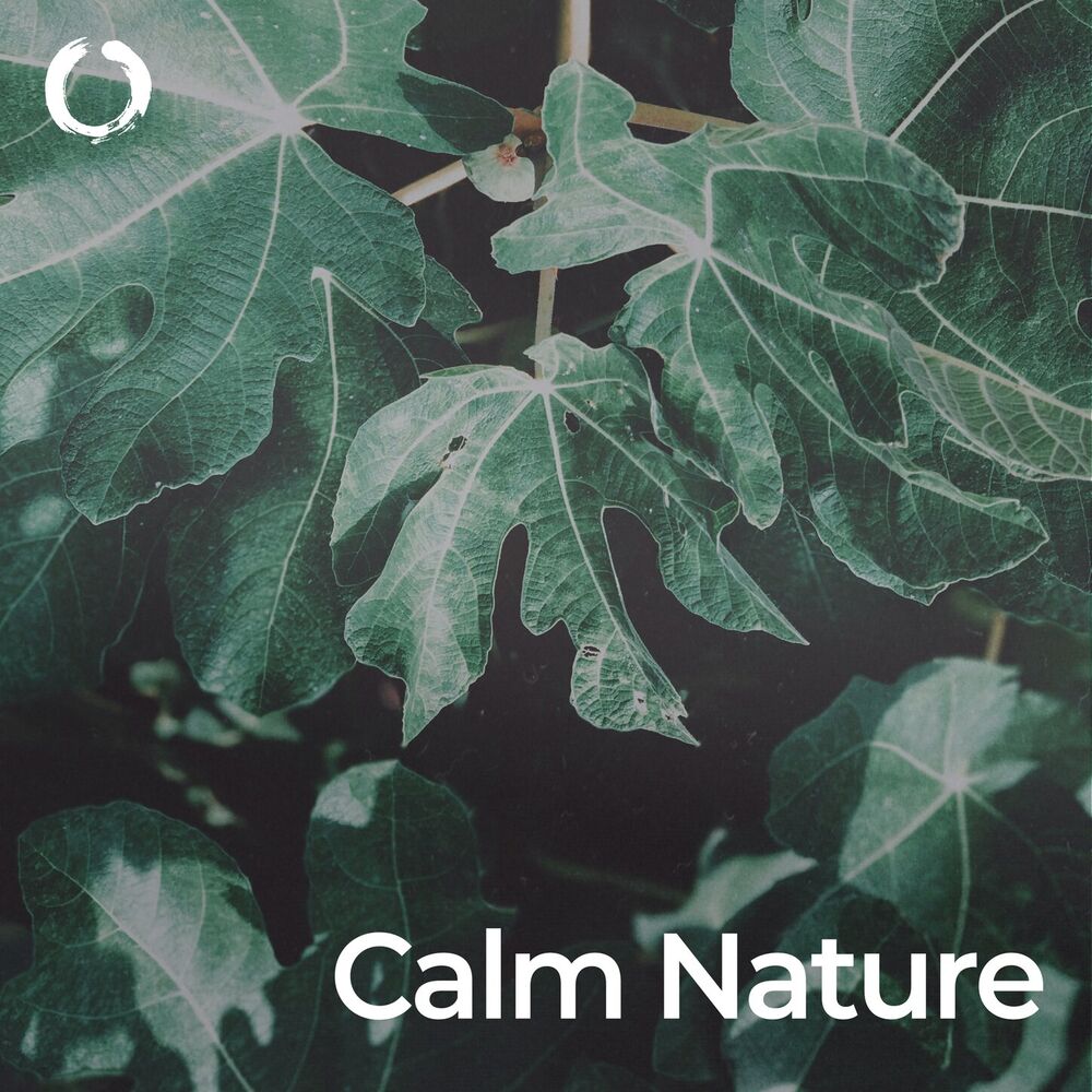 Picture of Nature Calm Down: Stressless with Green Noise