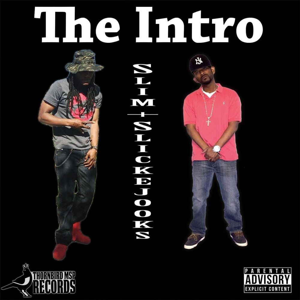Picture of The Intro