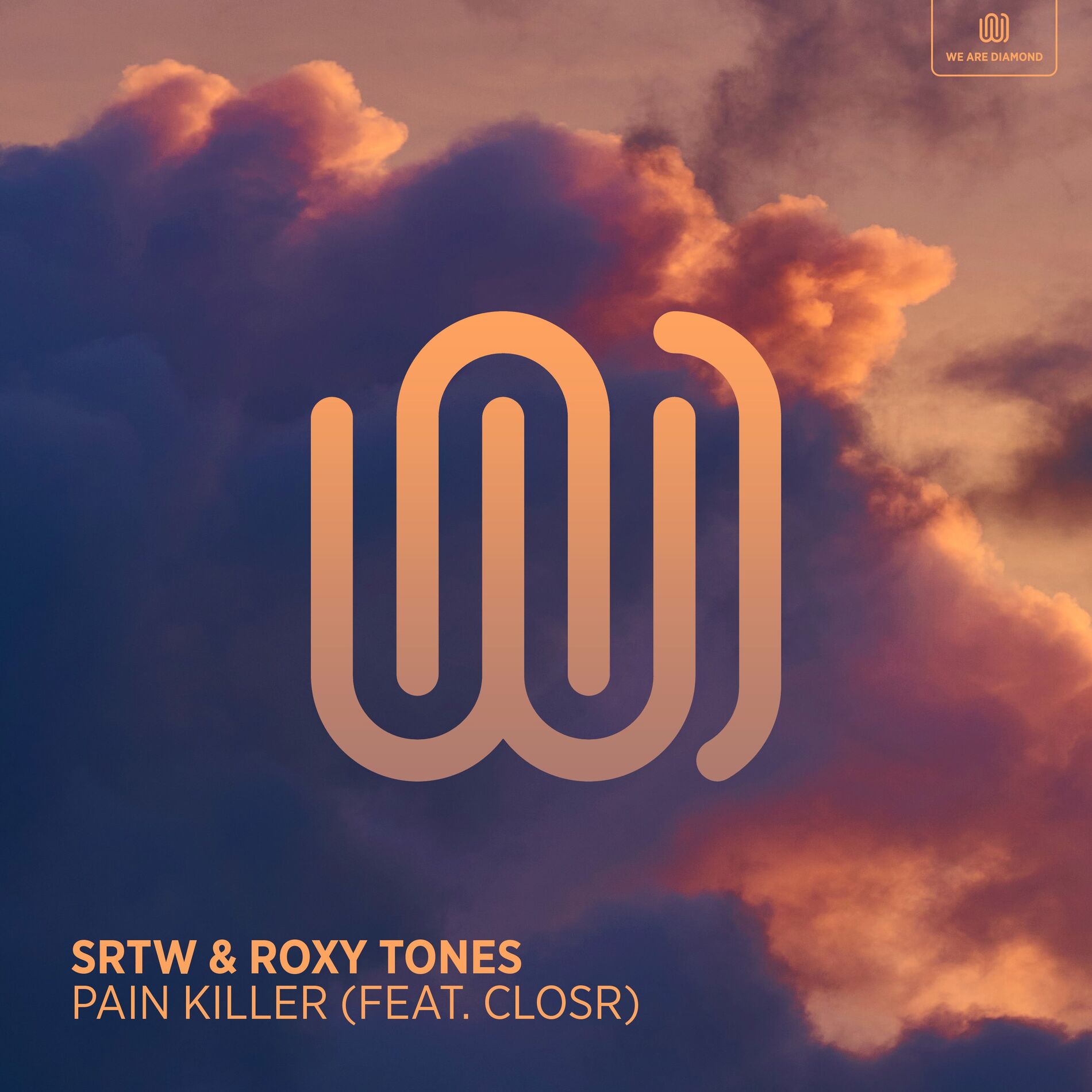 Album cover of Pain Killer