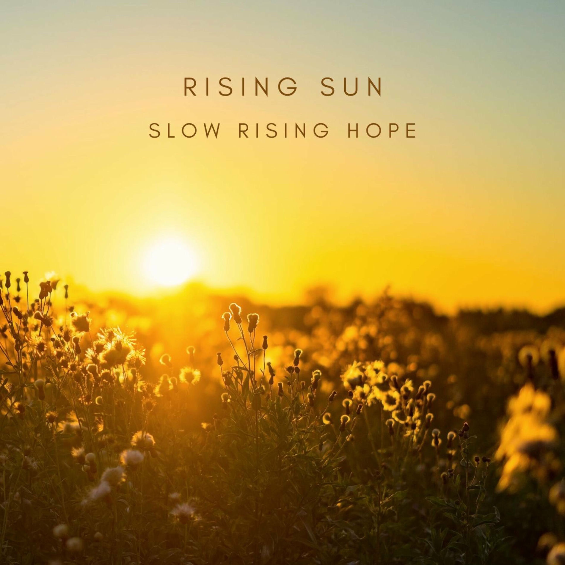 Album cover of Rising Sun