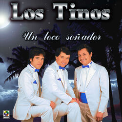 Cover of Un Loco Soñador