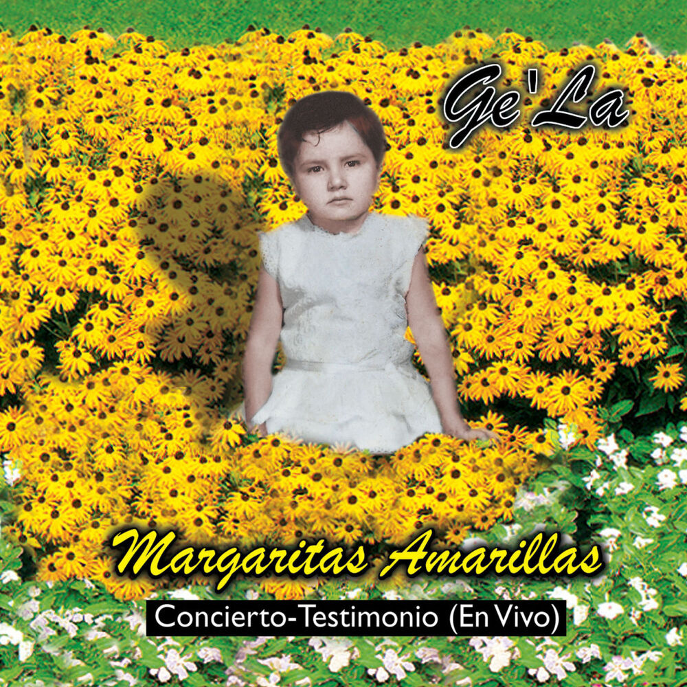 Picture of Margaritas Amarillas
