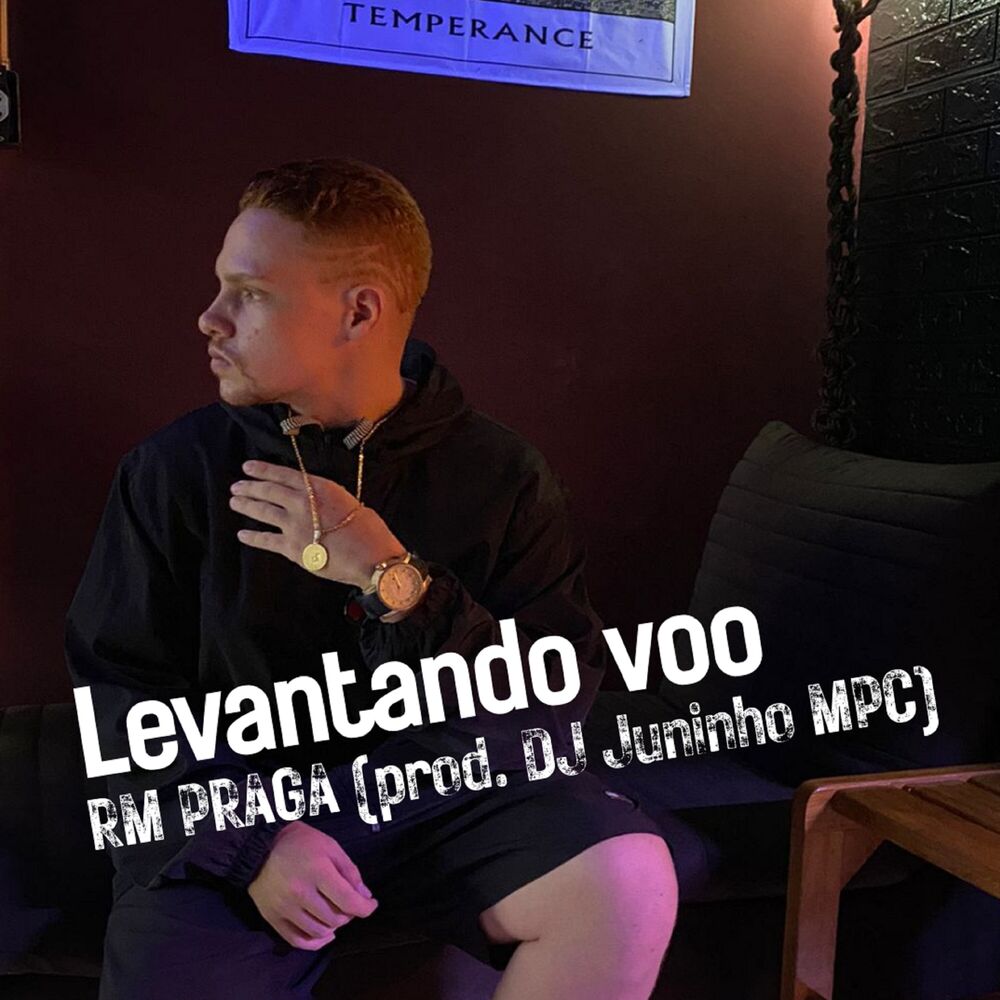 Picture of Levantando Voo