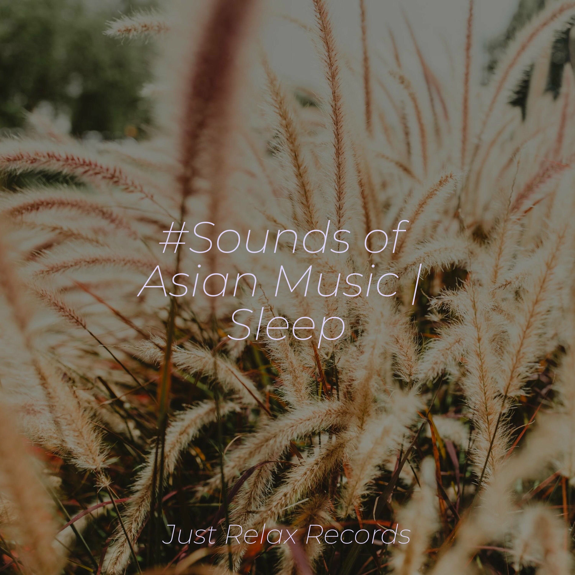 Album cover of #Sounds of Asian Music | Sleep