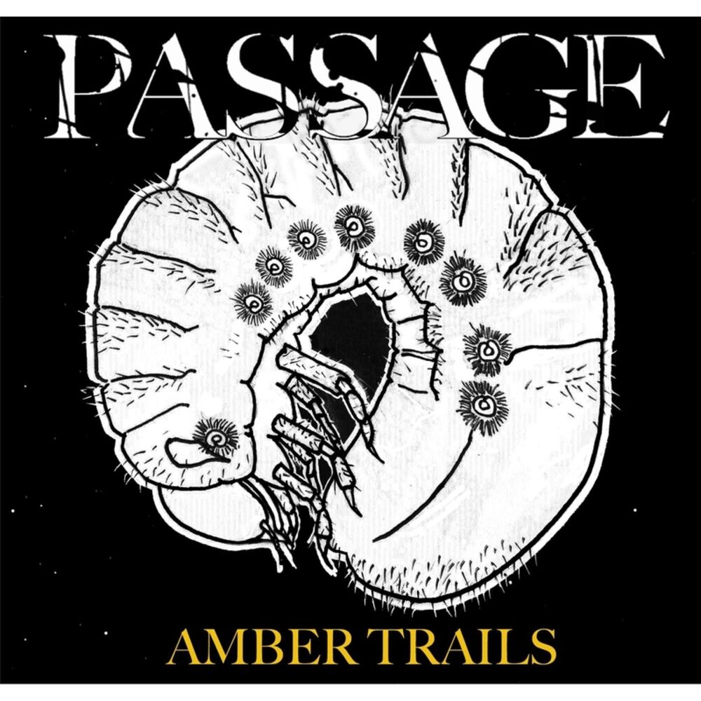 Picture of Amber Trails