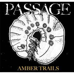 Cover of Amber Trails