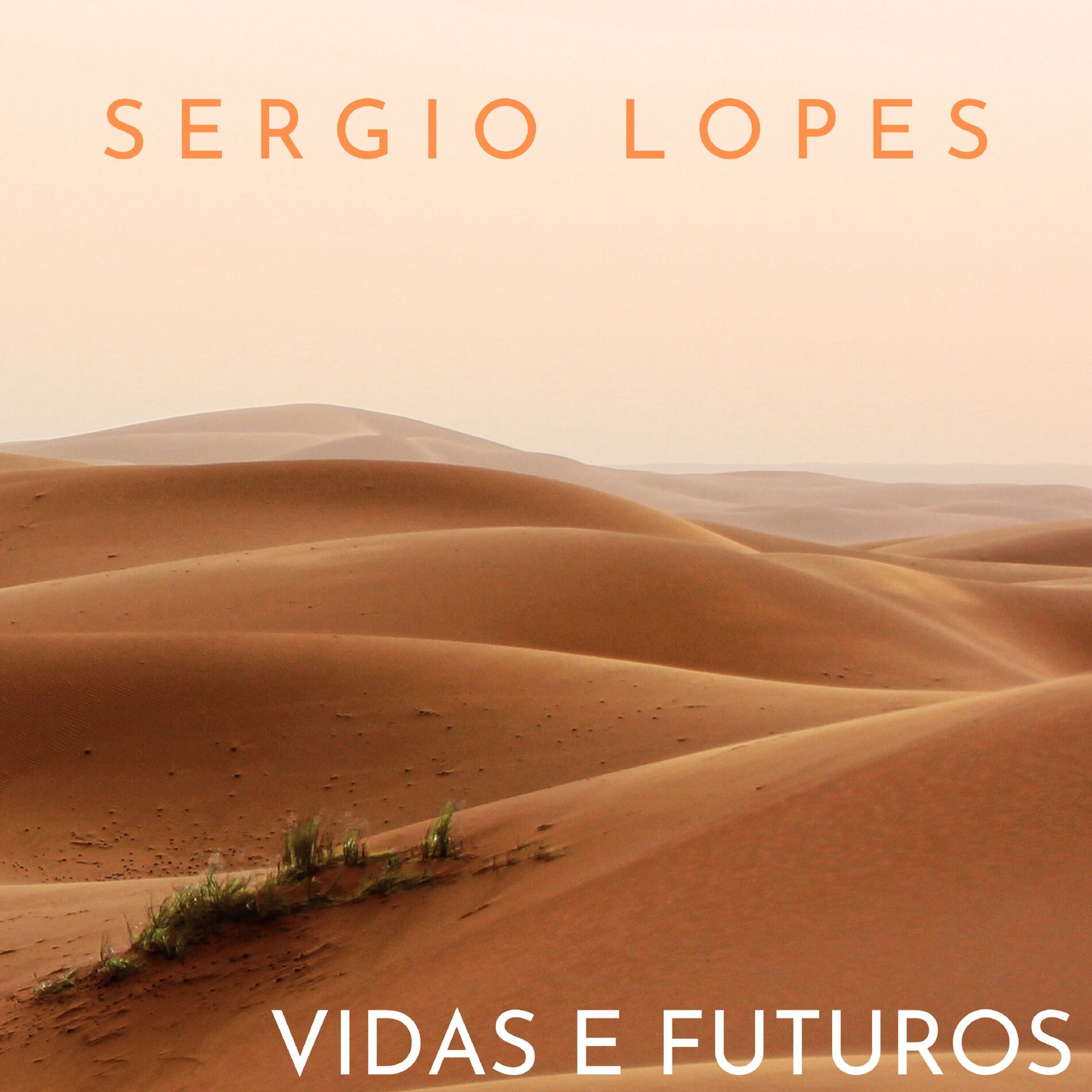 Album cover of Vidas e Futuros