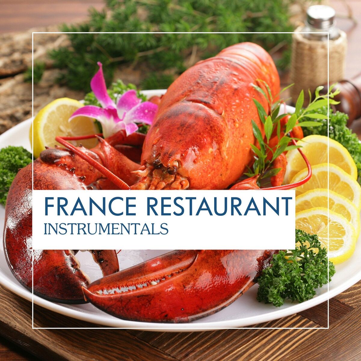 Album cover of France Restaurant Instrumentals