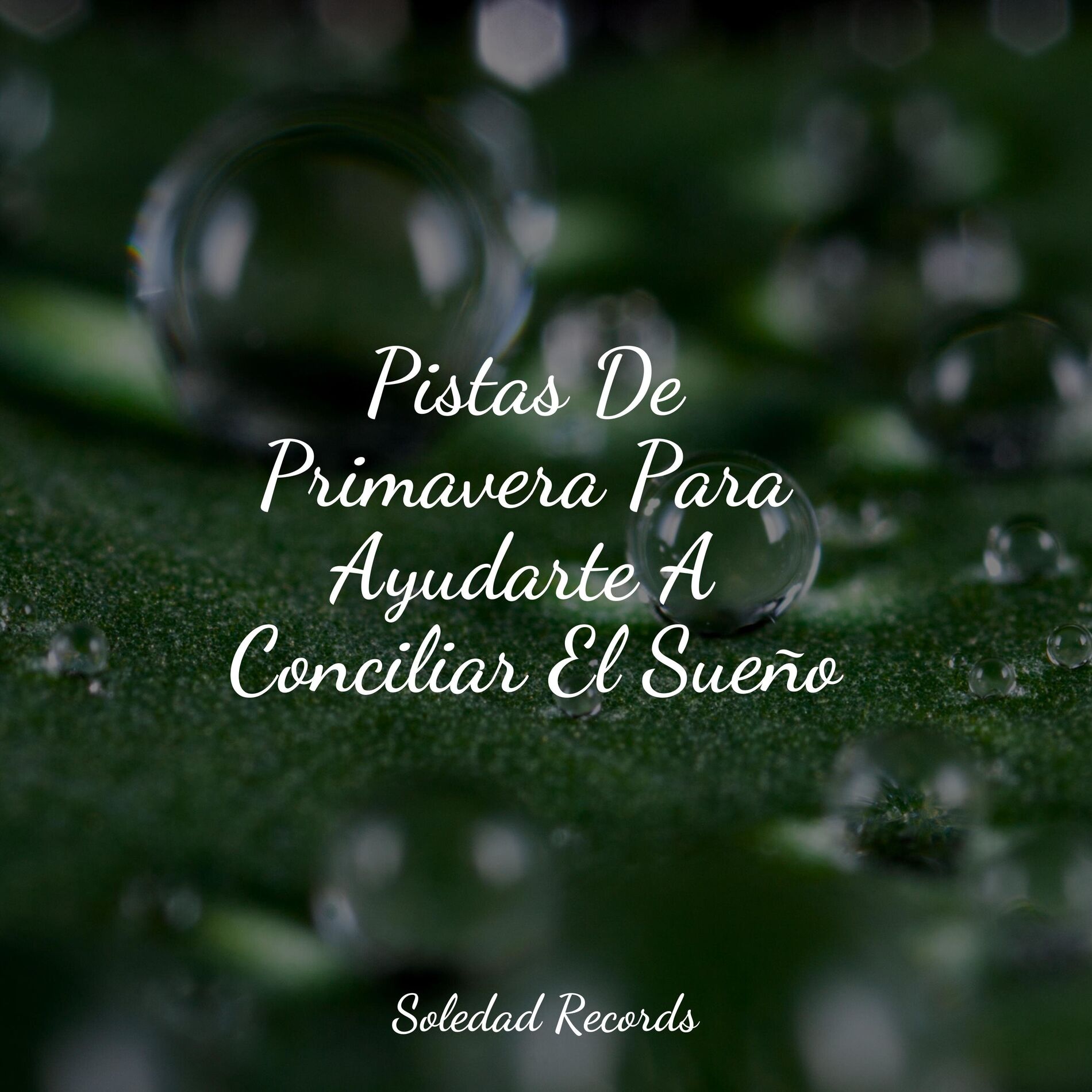 Album cover of Pistas De Primavera Para Ayudarte A Conciliar El Sueño