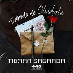 Cover of Tratando De Olvidarte