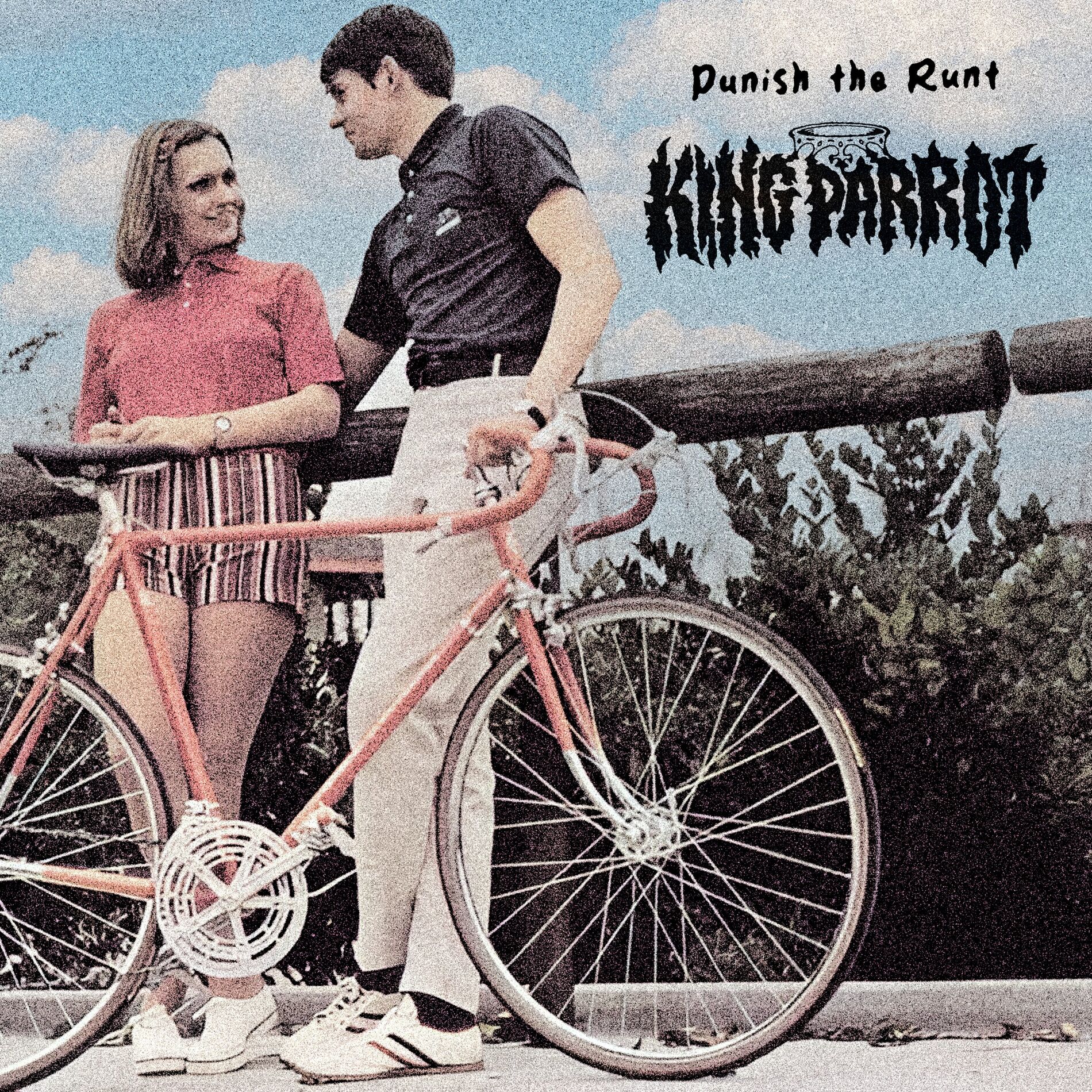 Album cover of Punish The Runt