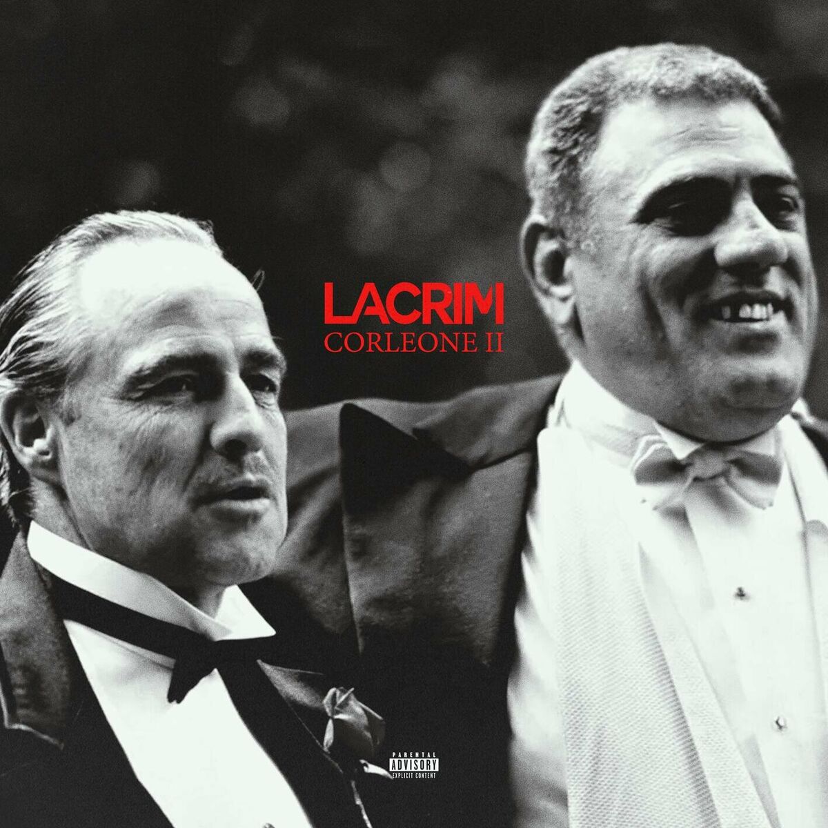 Album picture of CORLEONE II (Bonus)