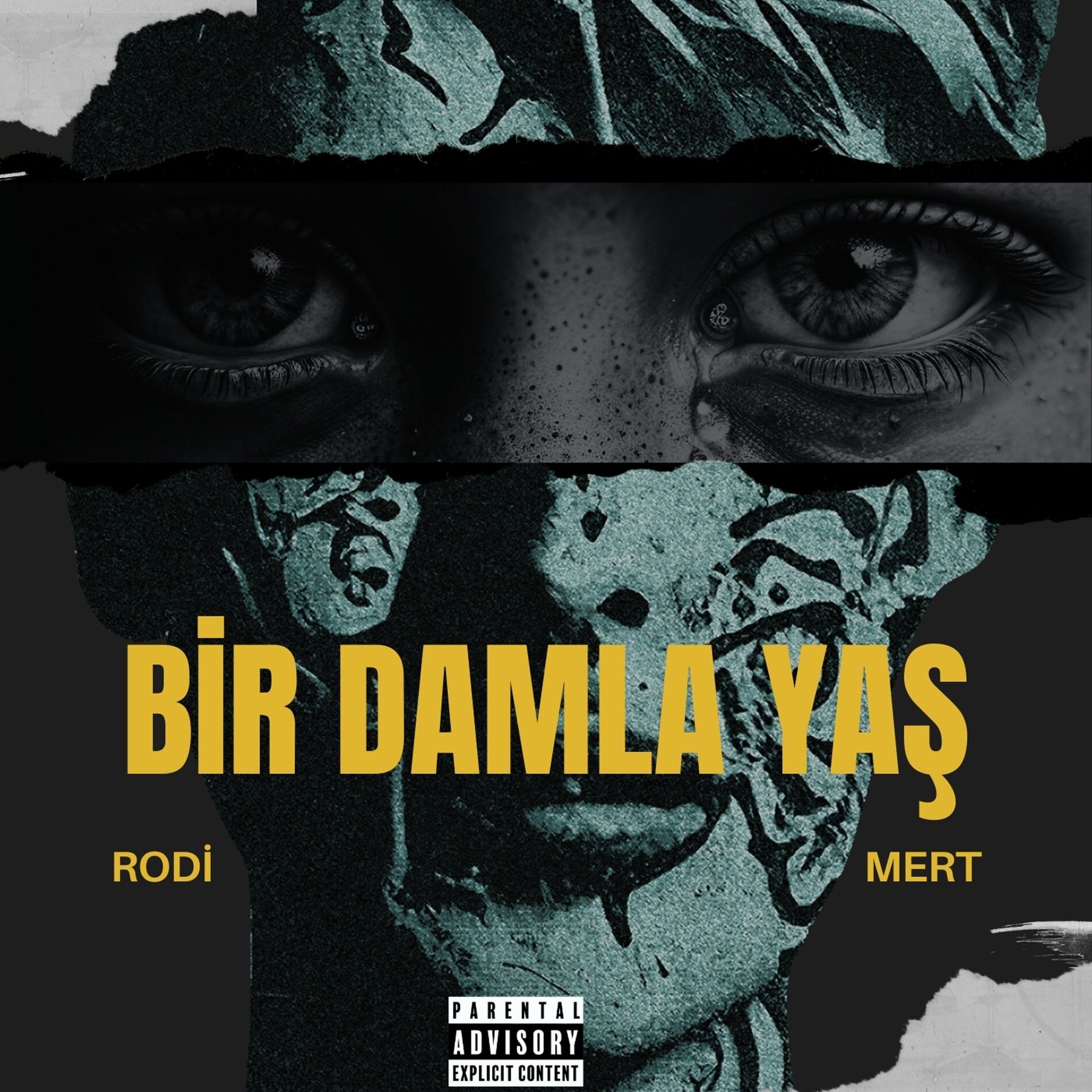 Album cover of BİR DAMLA YAŞ