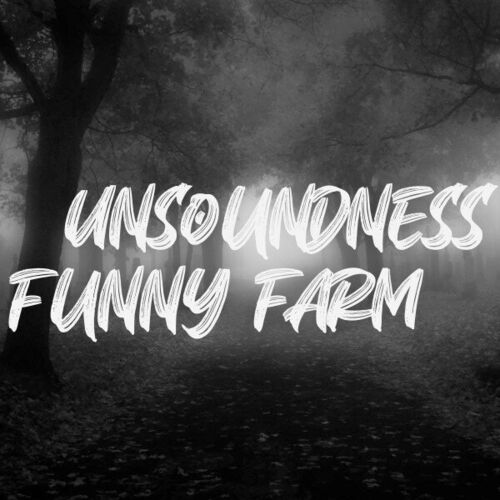 Funny Farm - Unsoundness (2024)