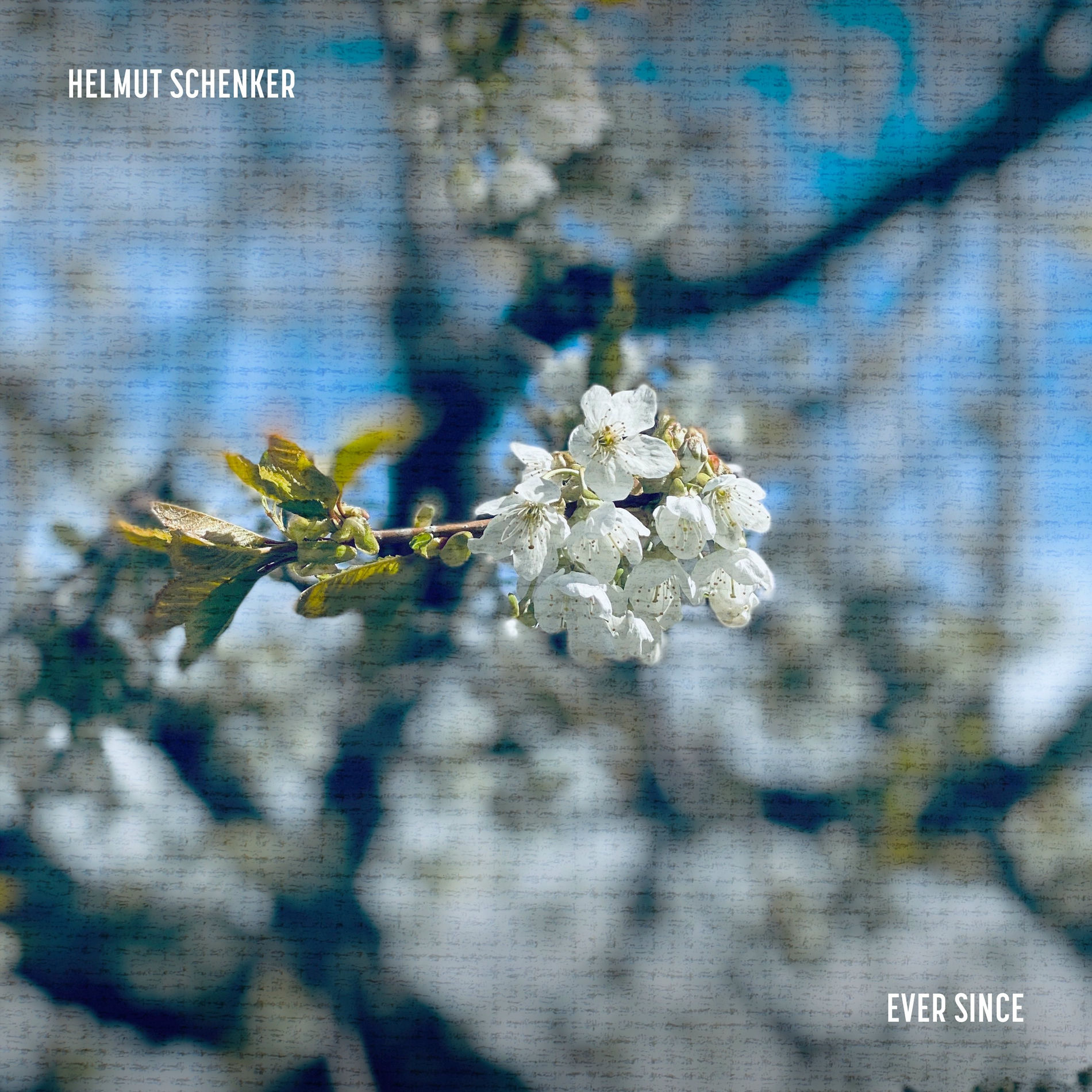 Album cover of Ever Since