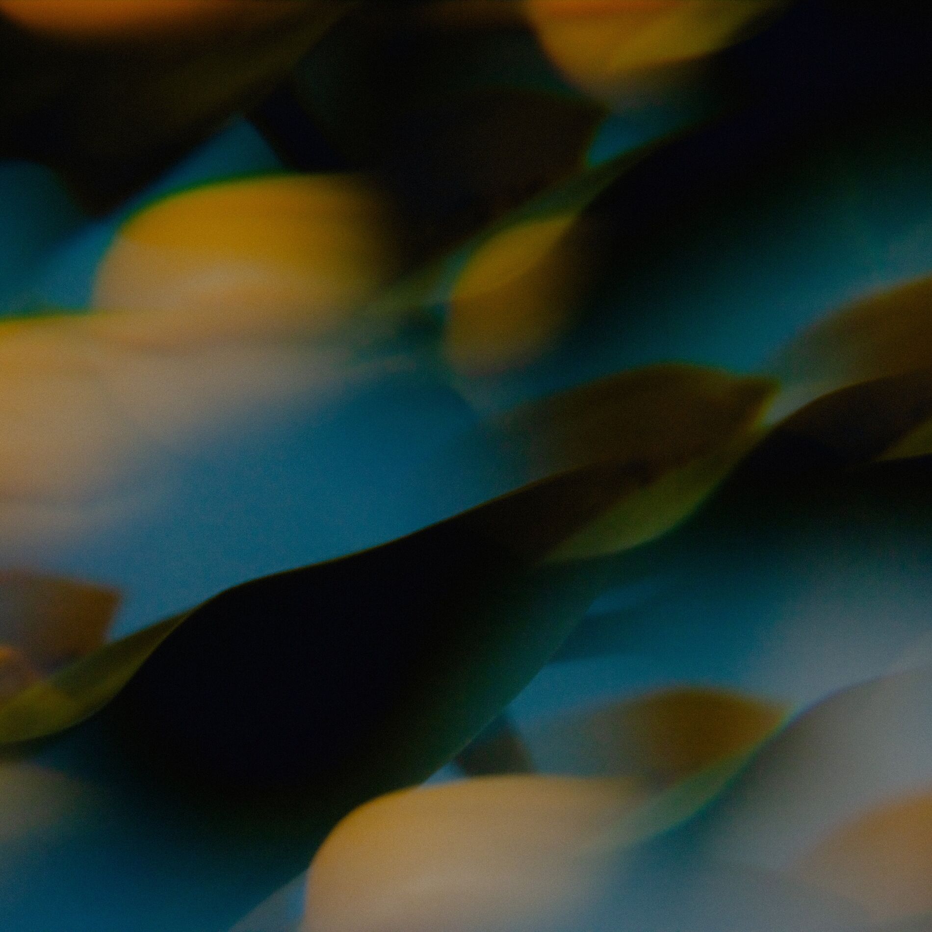 Album cover of Hiding