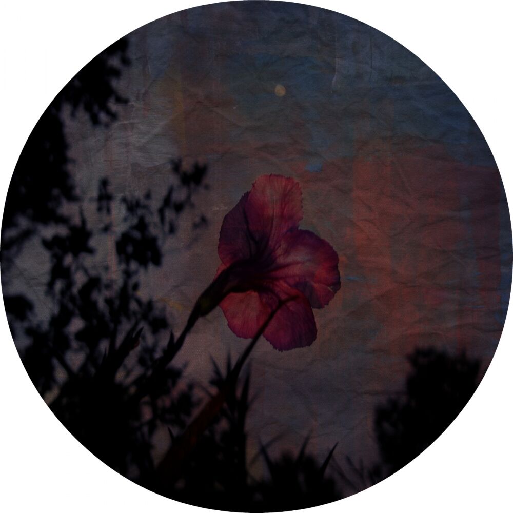 Picture of Moon Light EP
