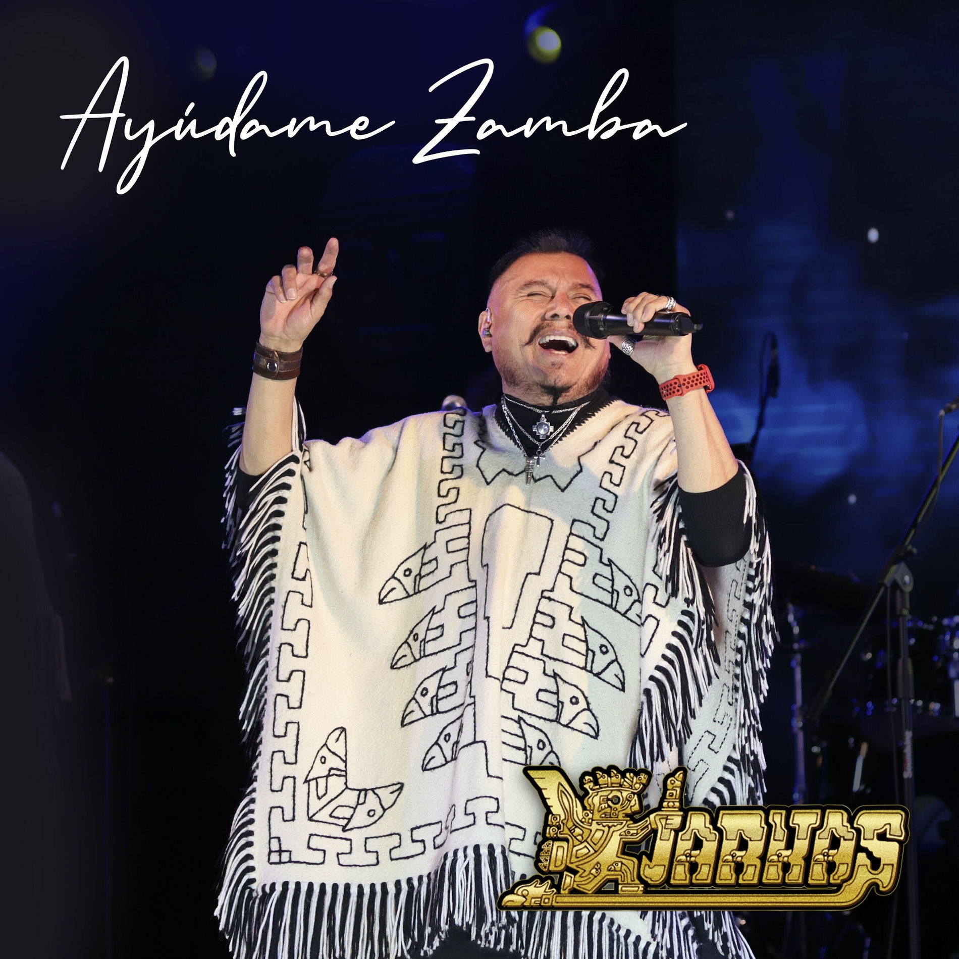 Album cover of Ayúdame Zamba
