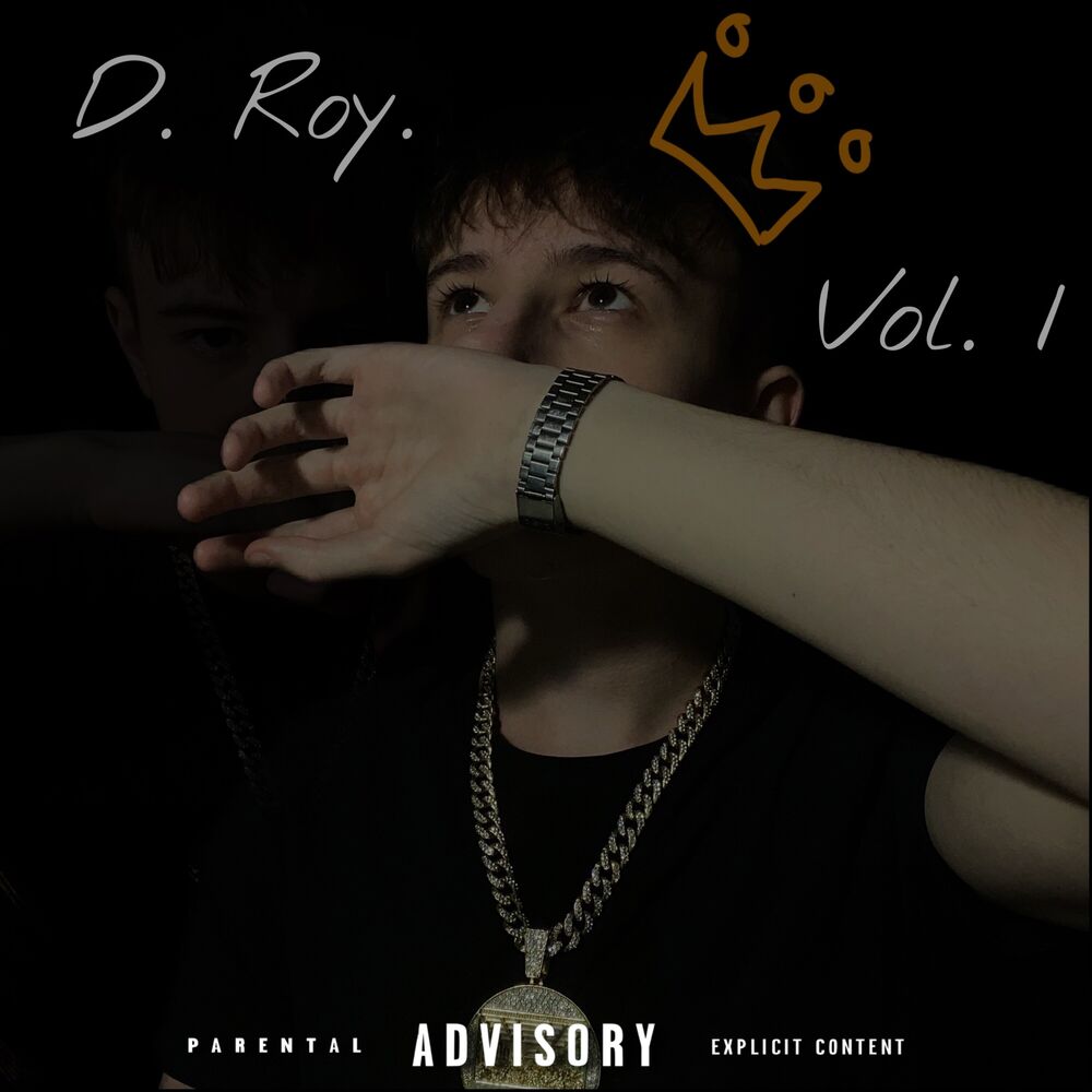 Picture of D.Roy. Vol.1