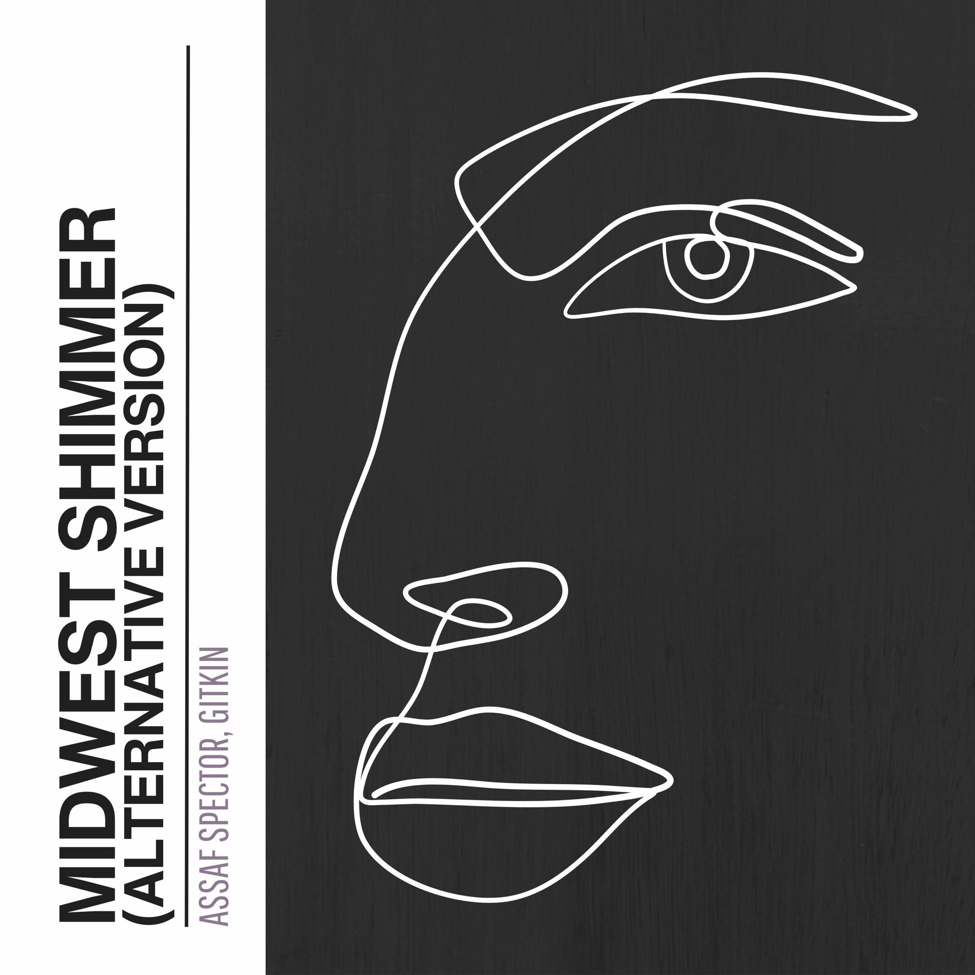 Album cover of Midwest Shimmer (Alternative Version)