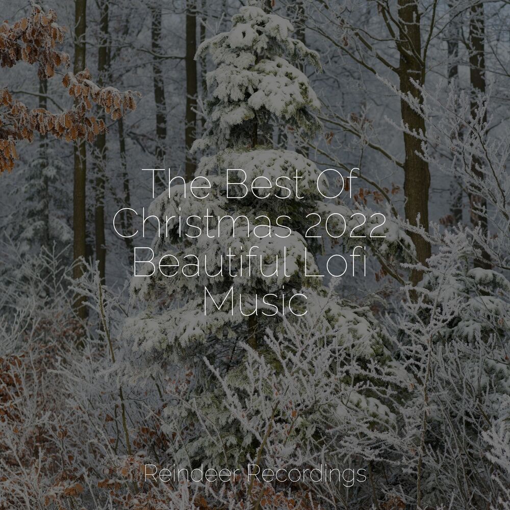 Picture of The Best Of Christmas 2022 Beautiful Lofi Music