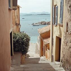 Cover of Vieux Port
