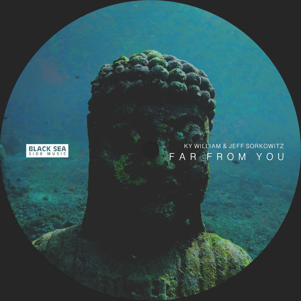 Picture of Far From You