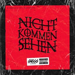 Cover of Nicht kommen sehen