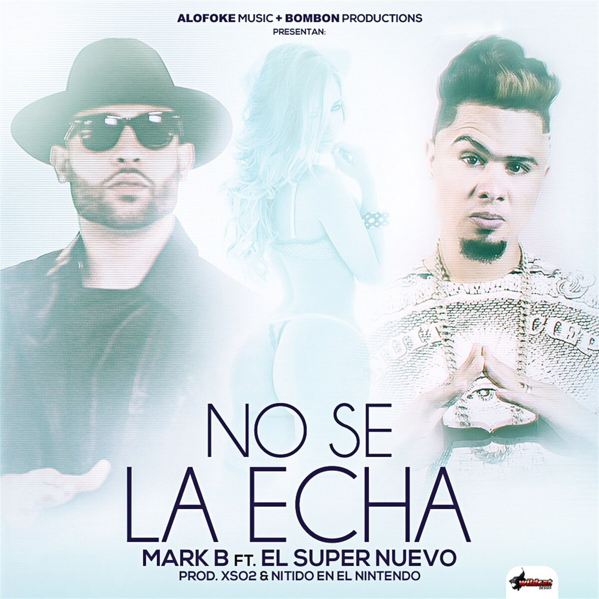 Album cover of No Se la Echa (Remix)