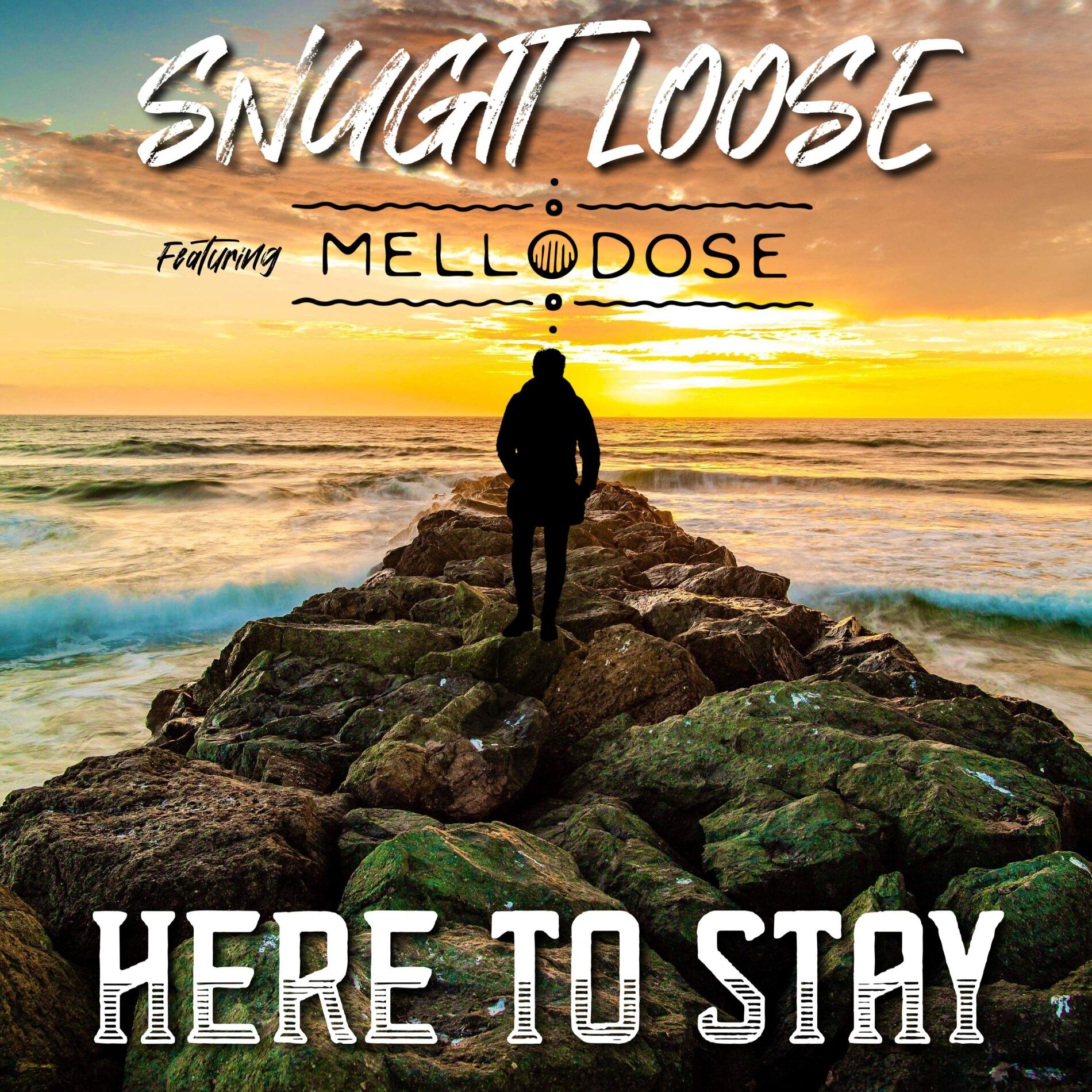 Album cover of Here to Stay (feat. Mellodose)