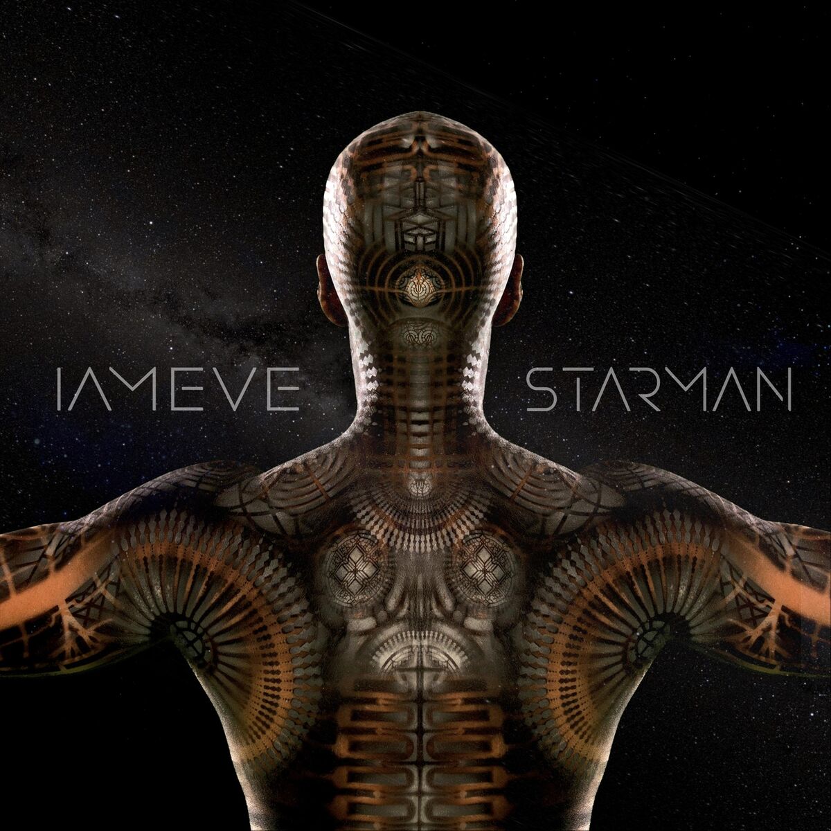 Album cover of Starman