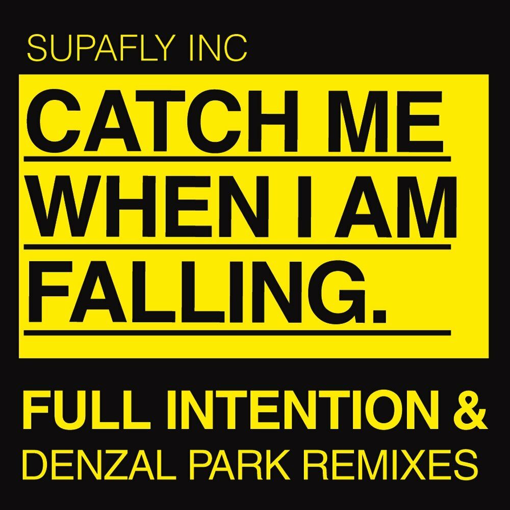 Picture of Catch Me When Im Falling