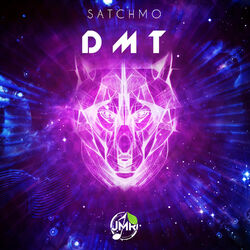 Cover of Dmt