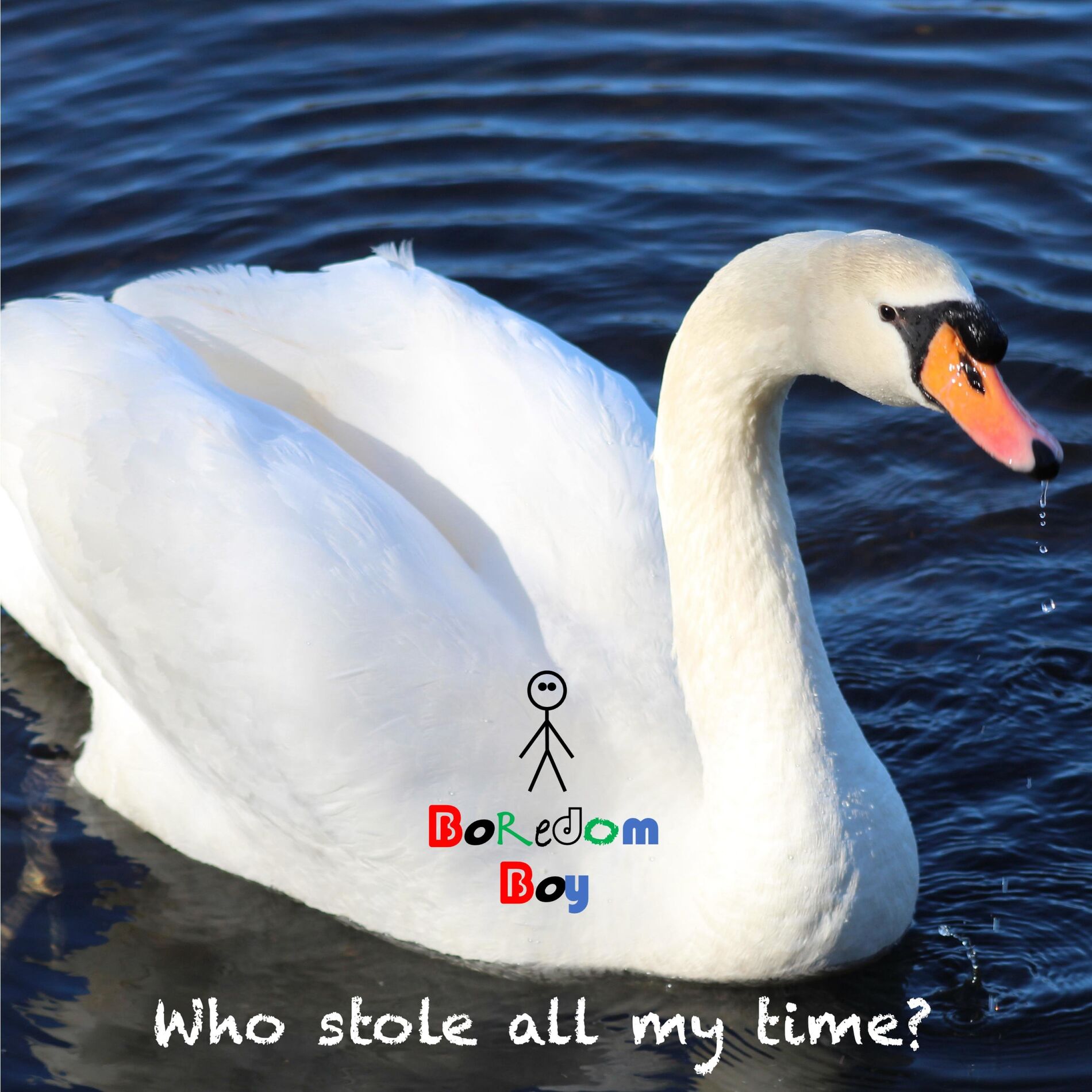 Album cover of Who stole all my time?