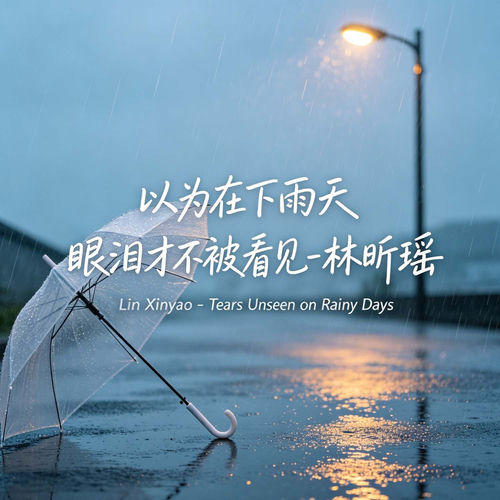 以为在下雨天 眼泪才不被看见