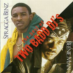 Cover of The Best of Two Bad DJ's