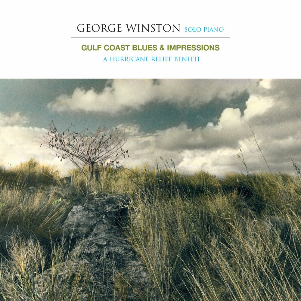 Picture of Gulf Coast Blues & Impressions - A Hurricane Relief Benefit