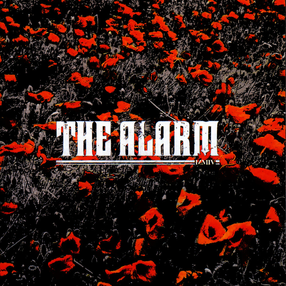 Picture of In The Poppy Fields