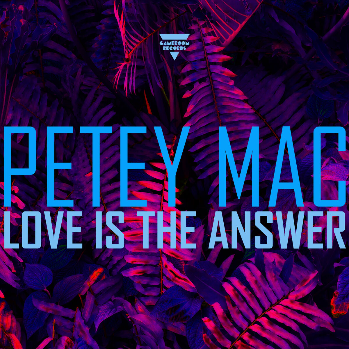 Album cover of Love is the Answer