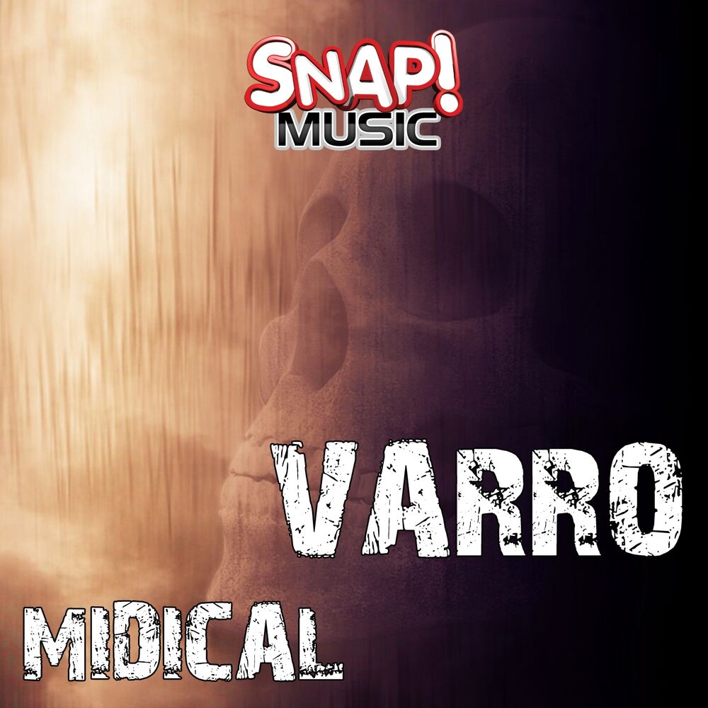 Picture of Varro