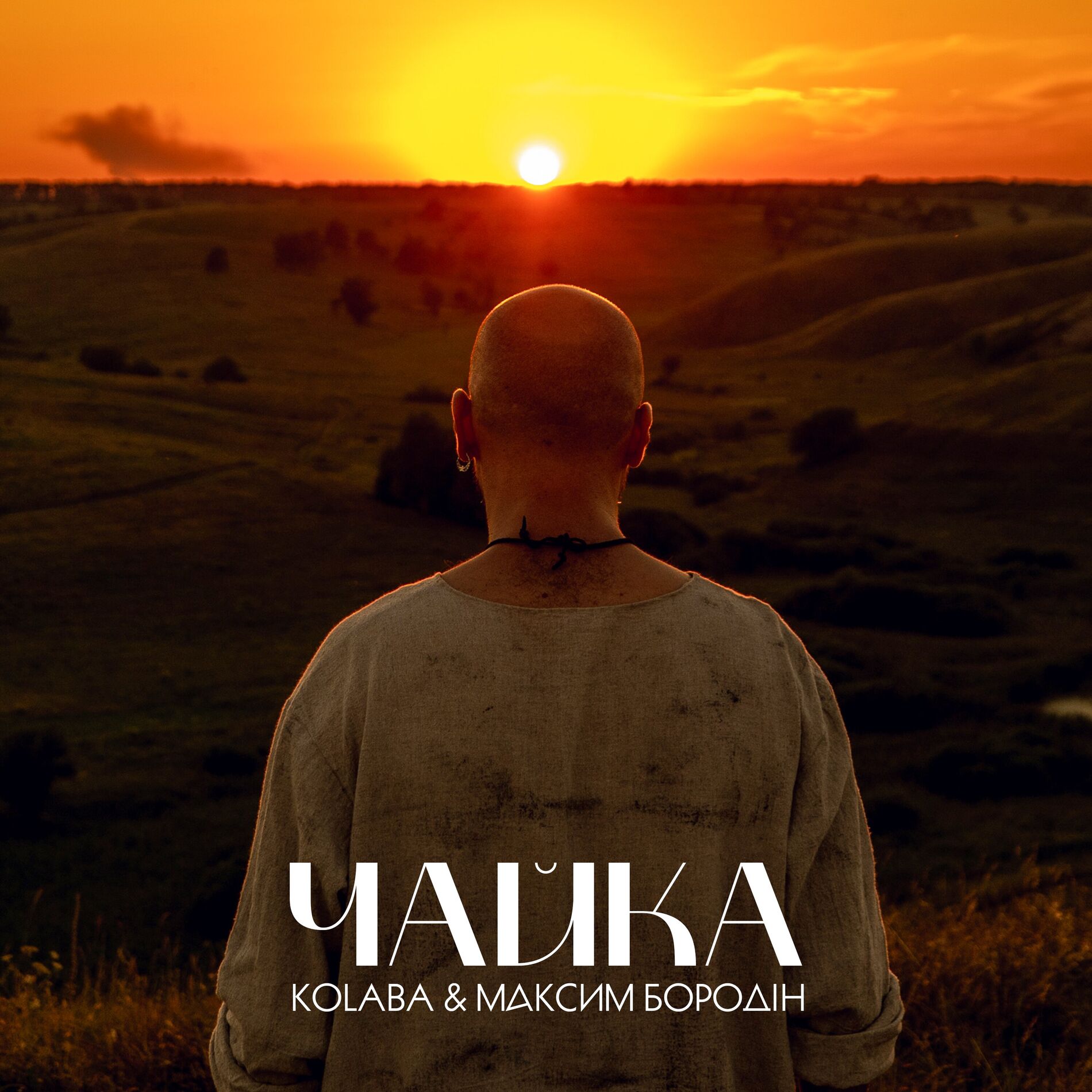 Album cover of Чайка