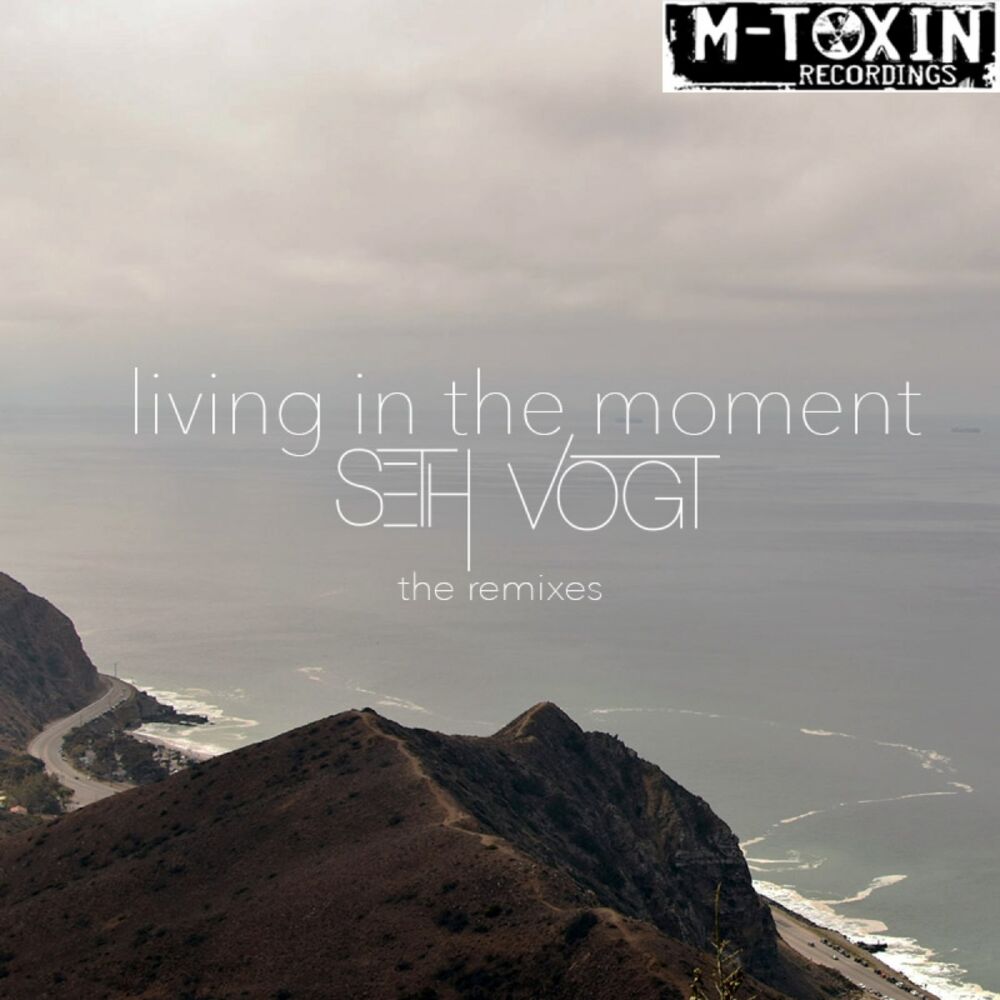 Picture of Living In The Moment (The Remixes)