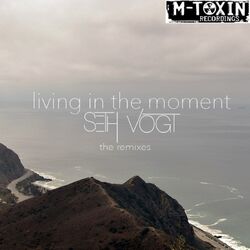 Cover of Living In The Moment (The Remixes)