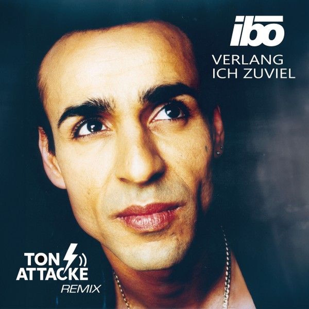 Album cover of Verlang ich zuviel