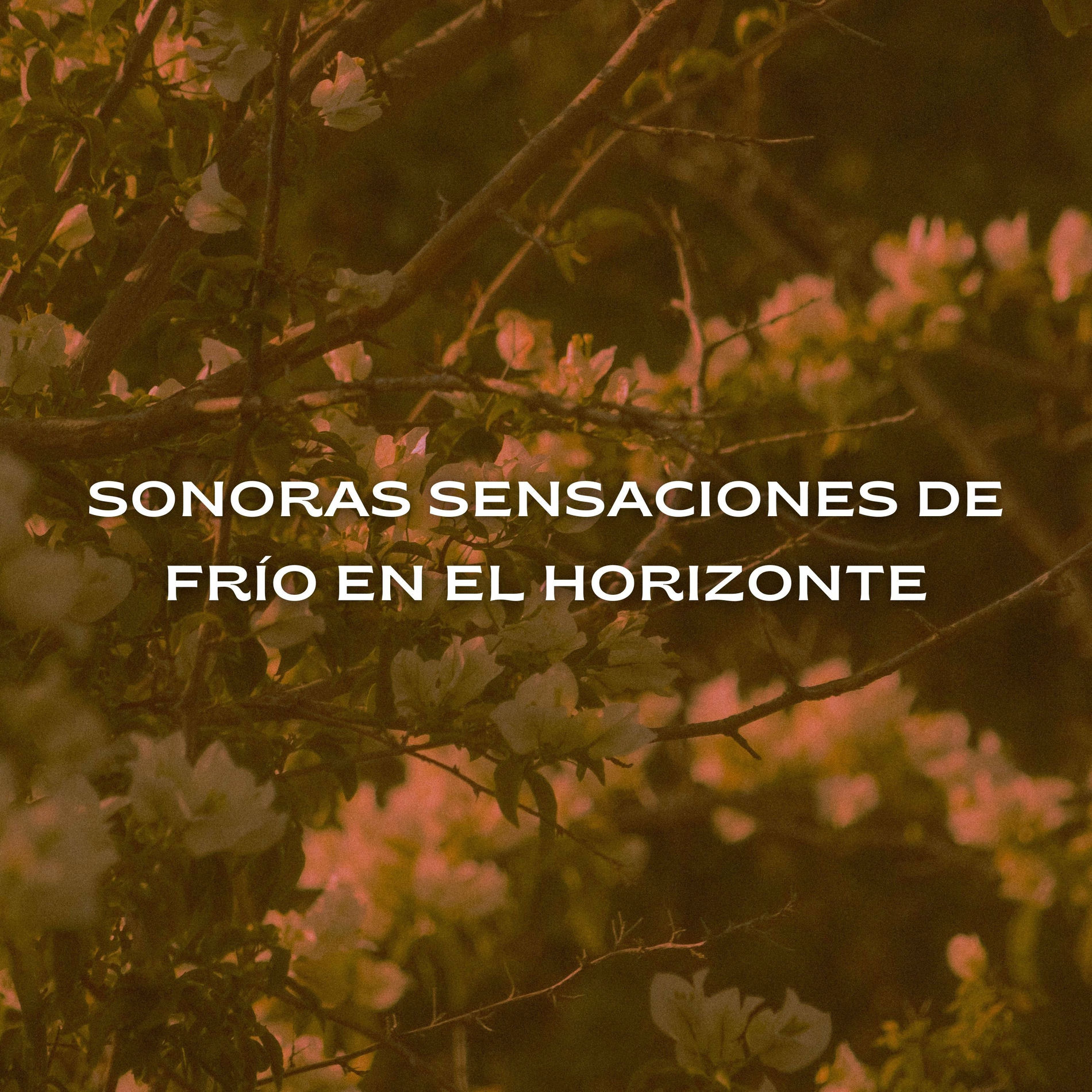Album cover of Sonoras Sensaciones De Frío En El Horizonte