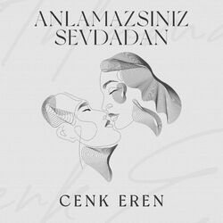Cover of Anlamazsınız Sevdadan