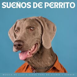 Cover of Sueños De Perrito: Música De Lluvia Suave Para Relajarse Y Dormir