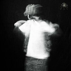 Cover of Babylon Walls